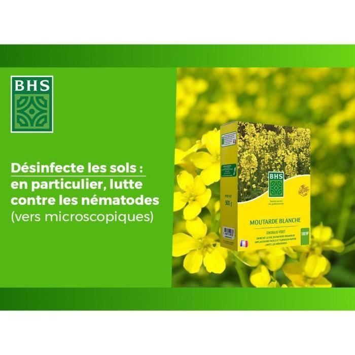 Fertilizantes Verdes - BHS - Mostaza Blanca 500g | 100 m² | Mejora y desinfecta los suelos para una mejor fertilidad. 4 Fertilizantes Verdes - BHS - Mostaza Blanca 500g | 100 m² | Mejora y desinfecta los suelos para una mejor fertilidad. 4