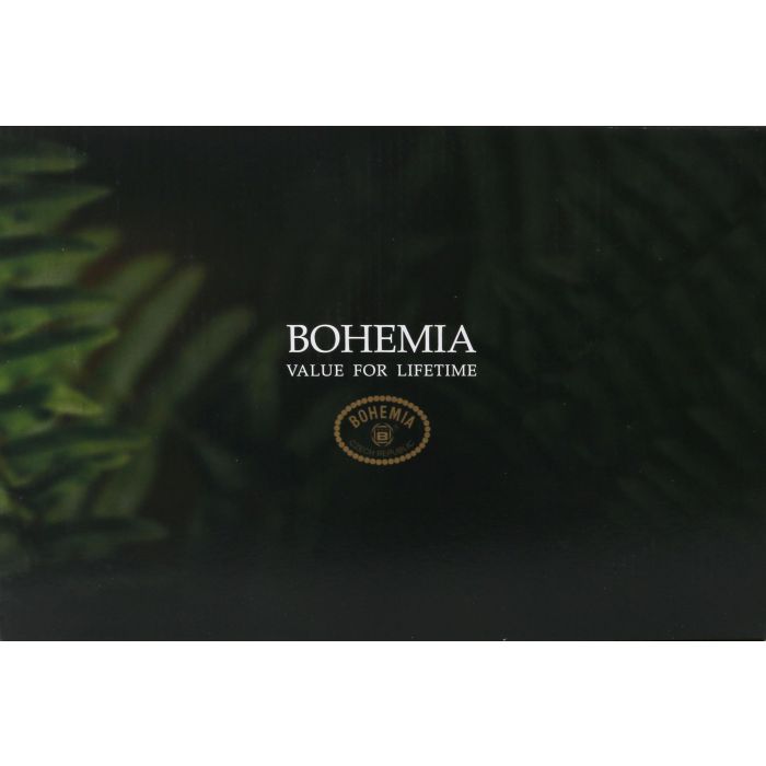 Bohemia Set 6 Copas de Vino Clara 450cc (4 Cajas) 4