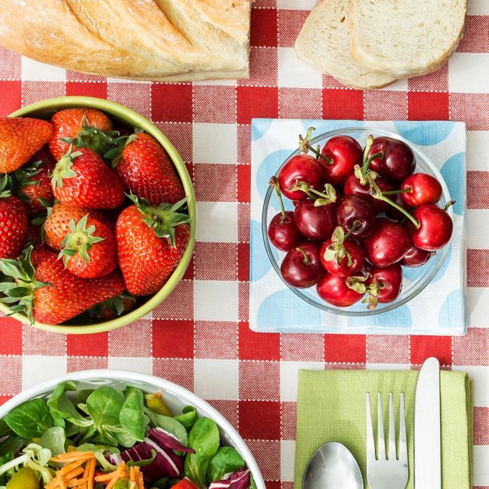 Cook Concept Mantel de Picnic Vichy Rojo y Blanco Impermeable 150x130 cm 1