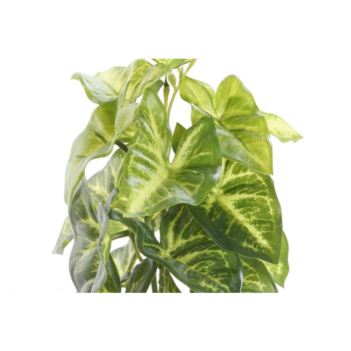 DKD Home Decor Planta Decorativa Artificial de PVC y Plástico Verde y Negro, Medidas 12x12x27 cm (Pack de 4 Unidades) 2 DKD Home Decor Planta Decorativa Artificial de PVC y Plástico Verde y Negro, Medidas 12x12x27 cm (Pack de 4 Unidades) 2