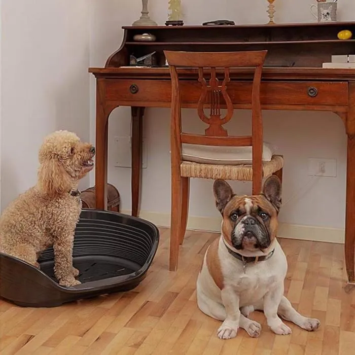 Ferplast Cama Deluxe 6 para Perro y Gato de Plástico, Siesta Negro 3