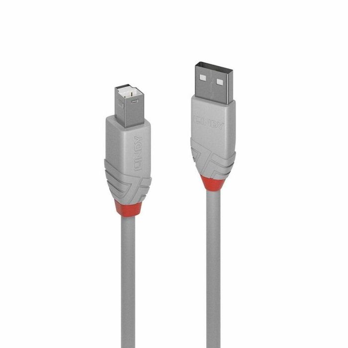 Lindy Cable USB 2.0 Tipo A a B 5m Anthra Line Gris – Rendimiento Profesional, Doble Apantallamiento, Contactos Dorados, 480Mbps