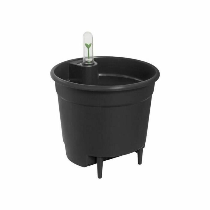 Elho 21 Inserto de Riego Automático para Macetas. Color Living Black. Ideal para Interiores. Medidas L 20.7 x An 20.7 x Al 19.5 cm Elho 21 Inserto de Riego Automático para Macetas. Color Living Black. Ideal para Interiores. Medidas L 20.7 x An 20.7 x Al 19.5 cm