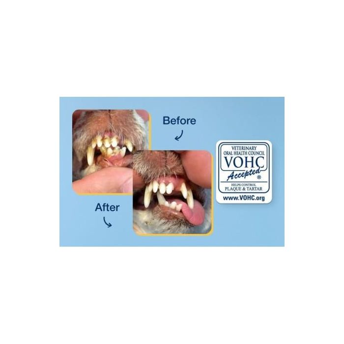 Proden Plaqueoff Polvo 180 gr para Perros y Gatos - Suplemento Alimenticio Natural para Higiene Bucodental