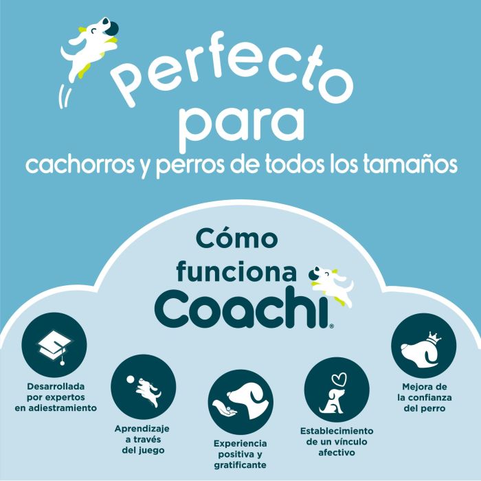 Coachi Training Line Correa Acolchada de Adiestramiento para Perros y Cachorros Pequeños/Medianos, Ligera y Suave, Azul-Lima 5 Metros 5 Coachi Training Line Correa Acolchada de Adiestramiento para Perros y Cachorros Pequeños/Medianos, Ligera y Suave, Azul-Lima 5 Metros 5