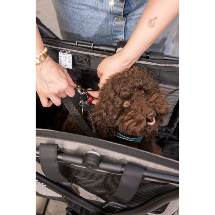 Carro de Compra Carlett CUBE P PINE Verde 3 Carro de Compra Carlett CUBE P PINE Verde 3