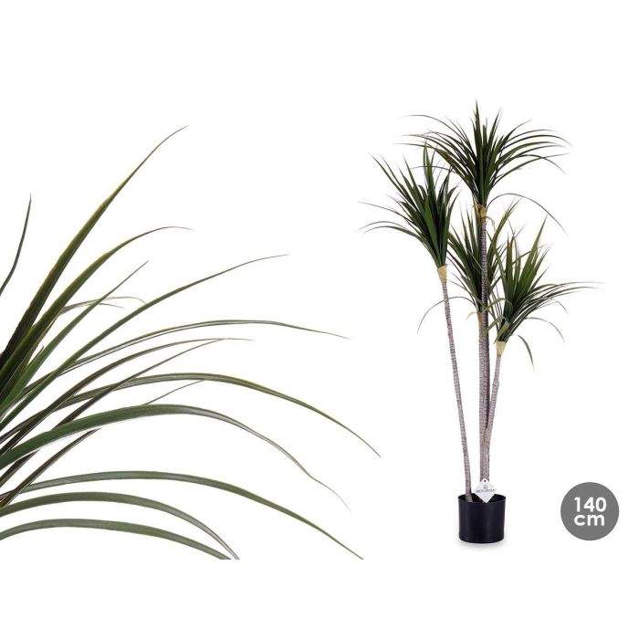 Ibergarden Planta con Maceta Hoja Estrecha Pequeña 140 cm (Al) x 80 cm (An) x 85 cm (La) Ibergarden Planta con Maceta Hoja Estrecha Pequeña 140 cm (Al) x 80 cm (An) x 85 cm (La)