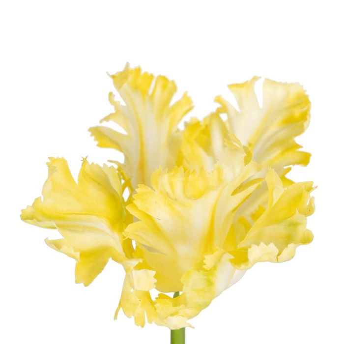 Flor Tulipán Amarillo Tejido Decoración 63 cm