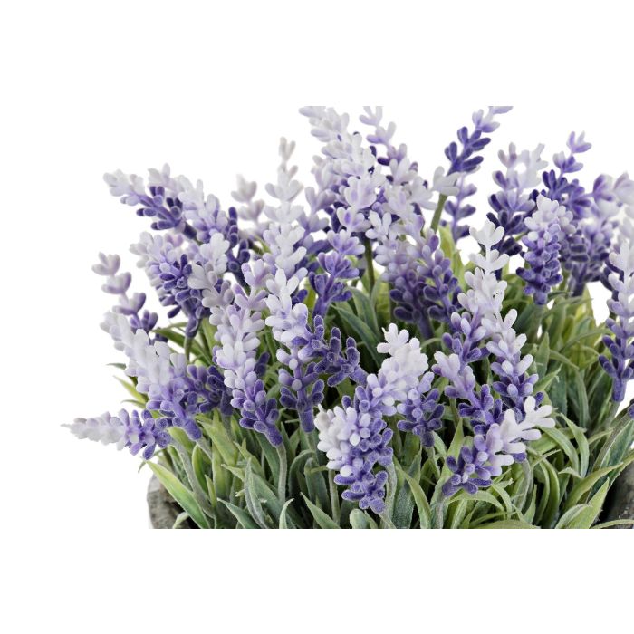Flor DKD Home Decor 15 x 21 x 15 cm (6 Unidades) 1 Flor DKD Home Decor 15 x 21 x 15 cm (6 Unidades) 1