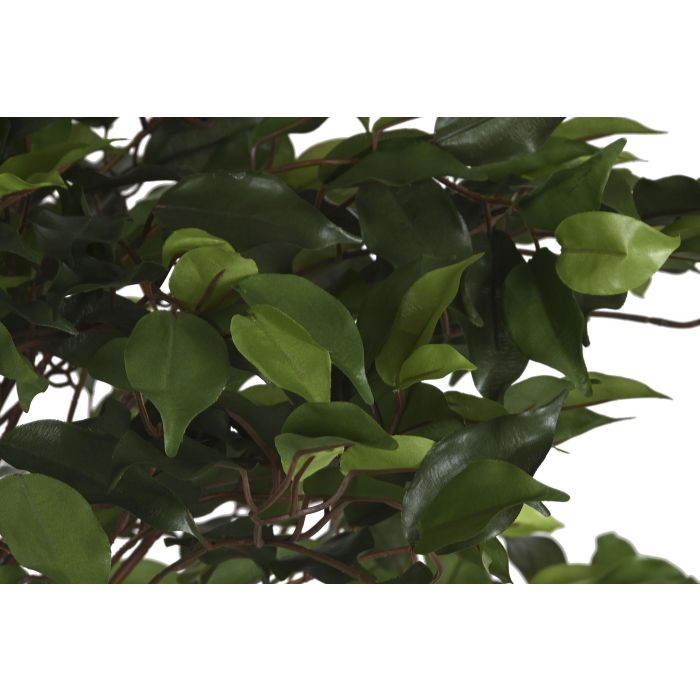 Planta DKD Home Decor Verde 80 x 150 x 80 cm (2 Unidades) 1 Planta DKD Home Decor Verde 80 x 150 x 80 cm (2 Unidades) 1