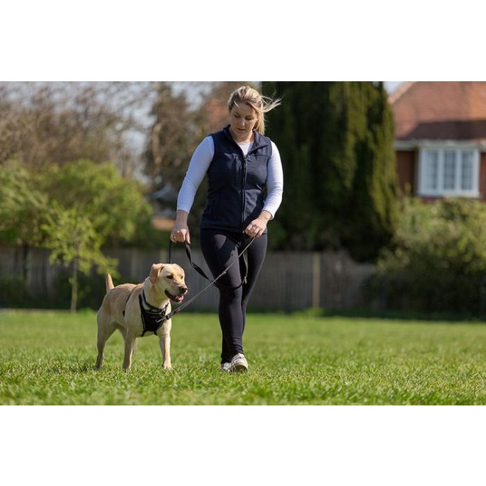 Company Of Animals Halti Arnés Antitirones No Pull Harness Negro Talla S Cuello 22-36cm 1