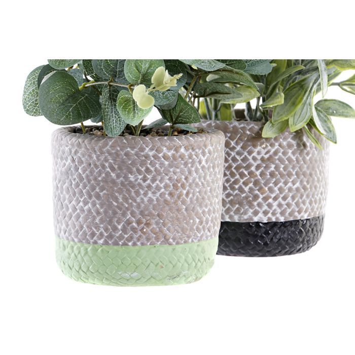 DKD Home Decor Planta Negro Verde 12 x 24 x 12 cm (6 Unidades) 1