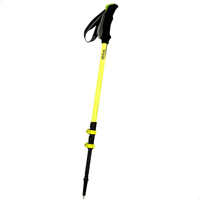 Bastón Trekking Aktive 5 x 135 x 4 cm (6 Unidades) 6 Bastón Trekking Aktive 5 x 135 x 4 cm (6 Unidades) 6