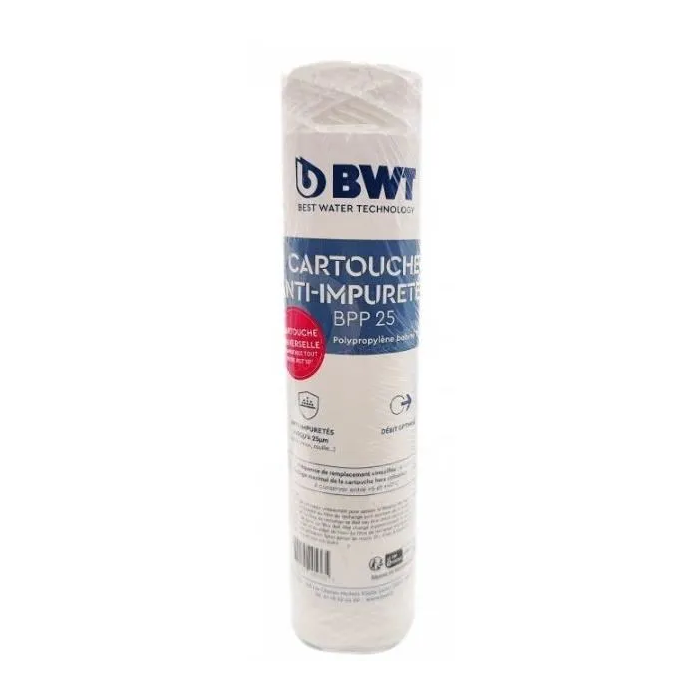 BWT BWT1712348609449 Cartucho Filtrante Enrollado 25 µm Tratamiento Aprox. 6 Meses
