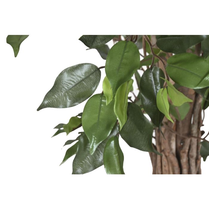Arbol Tropical DKD Home Decor Verde Marron 80 x 120 x 80 cm (2 Unidades) 1 Arbol Tropical DKD Home Decor Verde Marron 80 x 120 x 80 cm (2 Unidades) 1