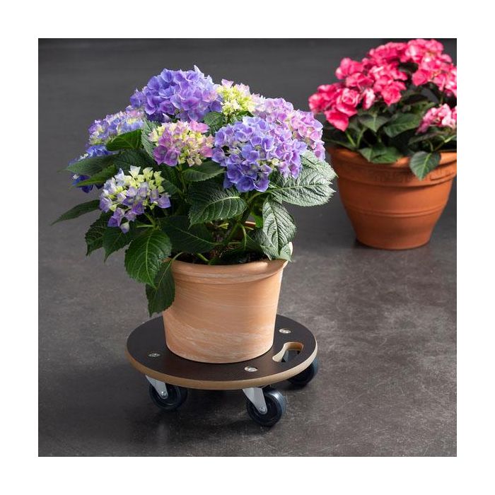 Bricotech Base Redonda Madera con Ruedas 38 x 11 cm 1