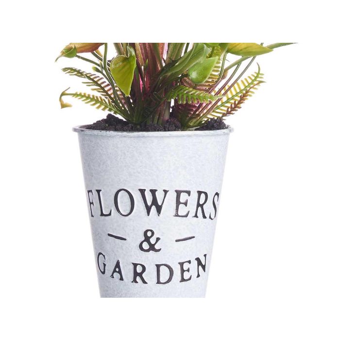 Planta Tulipan Bote Metal Surtidos Ibergarden 15x31x15cm (12 Unidades) 3 Planta Tulipan Bote Metal Surtidos Ibergarden 15x31x15cm (12 Unidades) 3