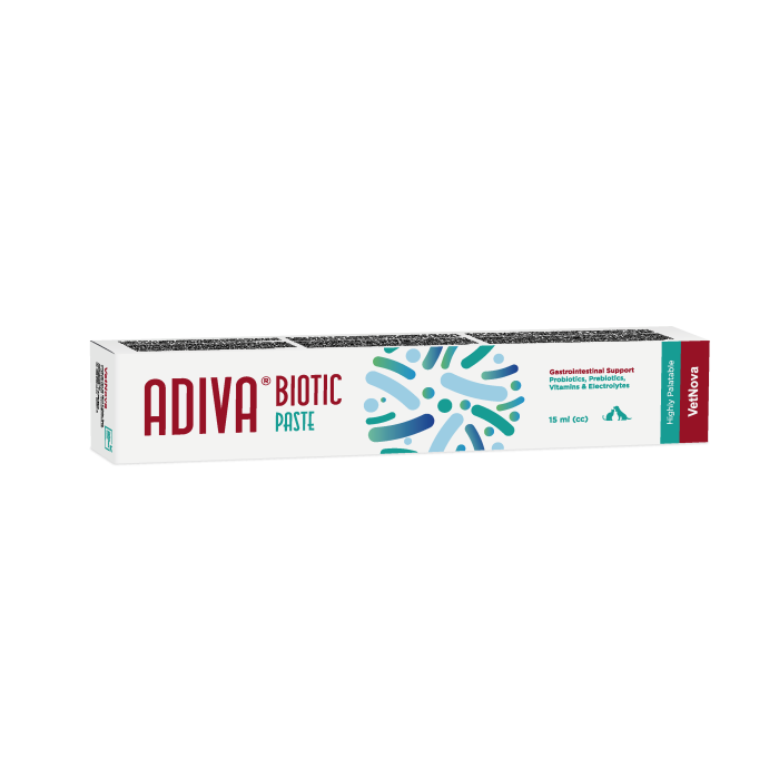 Adiva Biotic Paste Syringe 15 mL