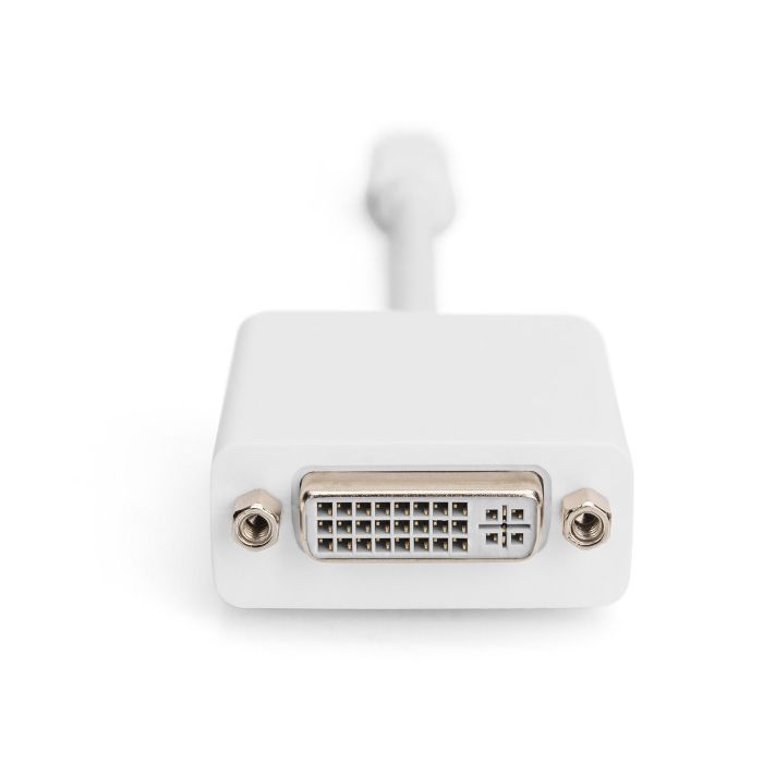 Digitus Adaptador DisplayPort Mini DP a DVI 24+5, Macho/Hembra, 0.15m, Blanco, Versión 1.1a, para Conectar Dispositivos 3 Digitus Adaptador DisplayPort Mini DP a DVI 24+5, Macho/Hembra, 0.15m, Blanco, Versión 1.1a, para Conectar Dispositivos 3