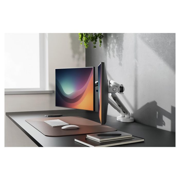 Digitus Soporte de Monitor Doble Abrazadera, 2 Pantallas hasta 35", 10 kg por Pantalla, 20 kg Total, Ajuste de Altura, Inclinación, 100x100 mm, Blanco Digitus Soporte de Monitor Doble Abrazadera, 2 Pantallas hasta 35", 10 kg por Pantalla, 20 kg Total, Ajuste de Altura, Inclinación, 100x100 mm, Blanco