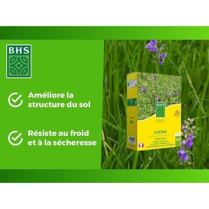 BHS AUC3366670500316 Alfalfa 500g para 100m², Mejora Suelo, Resiste Frío y Sequía, Rica en Proteínas y Vitaminas 3 BHS AUC3366670500316 Alfalfa 500g para 100m², Mejora Suelo, Resiste Frío y Sequía, Rica en Proteínas y Vitaminas 3