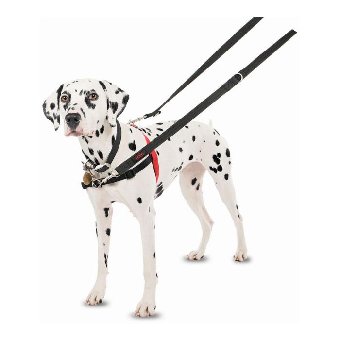 Halti Arnés de Control Delantero, ideal para Perros Medianos y Grandes, Talla L (cintura 80-120cm), Negro-Rojo 8