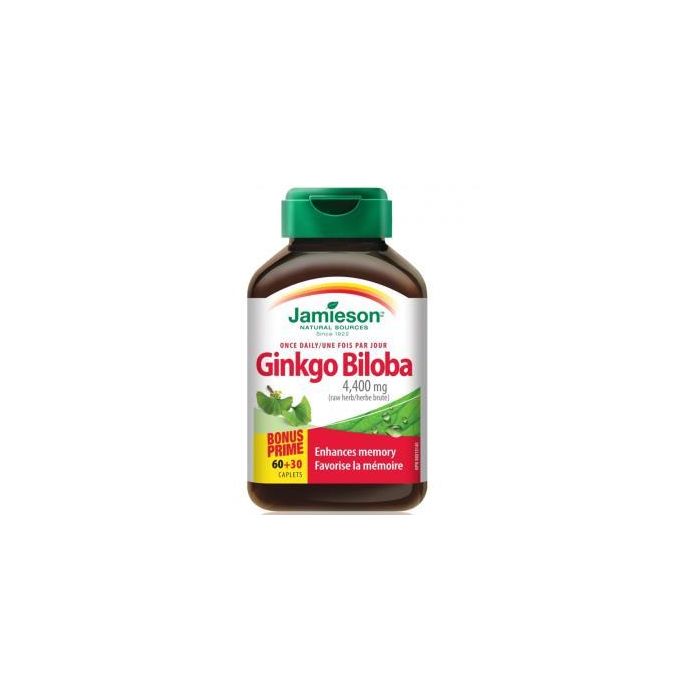 Ginkgo Biloba 90Comp.