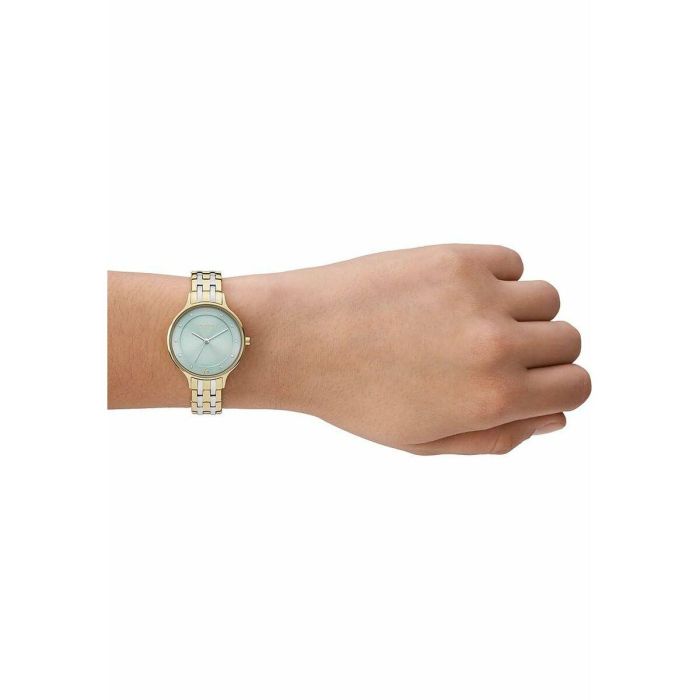 Reloj Mujer Skagen SKW3132 1 Reloj Mujer Skagen SKW3132 1
