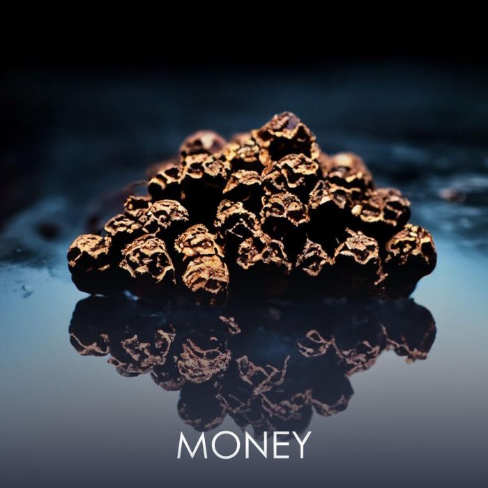 Philipp Plein No Limits Eau de Parfum para Hombre, 90 mL Philipp Plein No Limits Eau de Parfum para Hombre, 90 mL