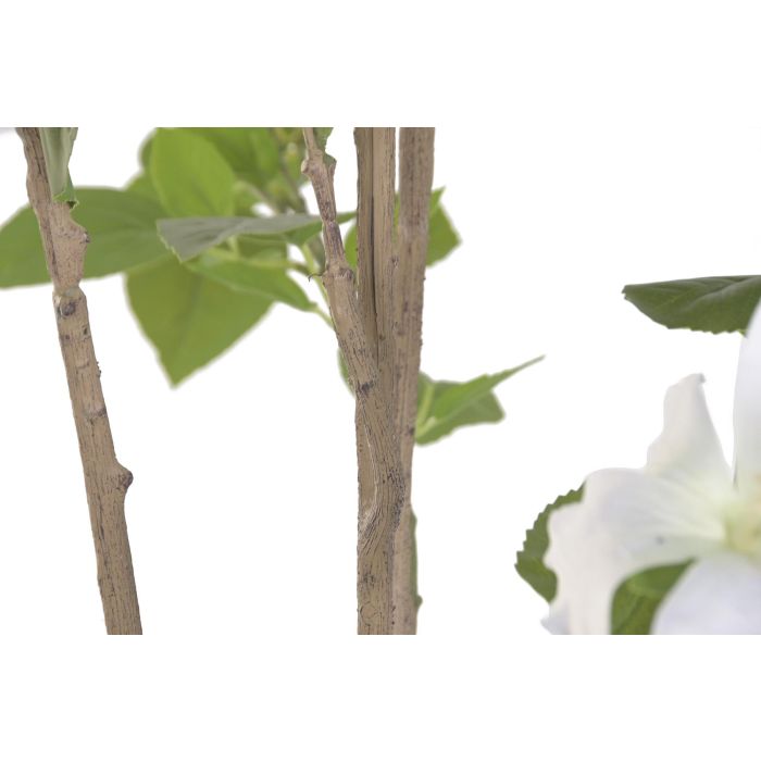 DKD Home Decor Planta Artificial Hibisco Verde Blanco 60x60x160 cm 2 Unidades