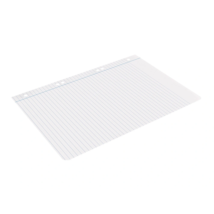 Liderpapel Recambio Cuarto 100 Hojas 60gr Horizontal con Margen 6 Taladros 6