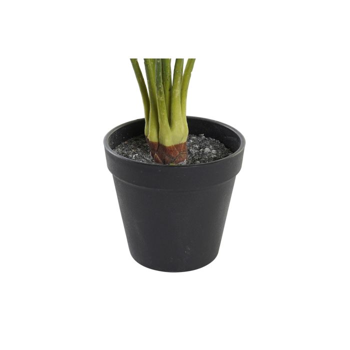 DKD Home Decor Planta Artificial Verde Rosa Polietileno (PE) 58 cm Alto (Pack 6 Unidades) 2 DKD Home Decor Planta Artificial Verde Rosa Polietileno (PE) 58 cm Alto (Pack 6 Unidades) 2