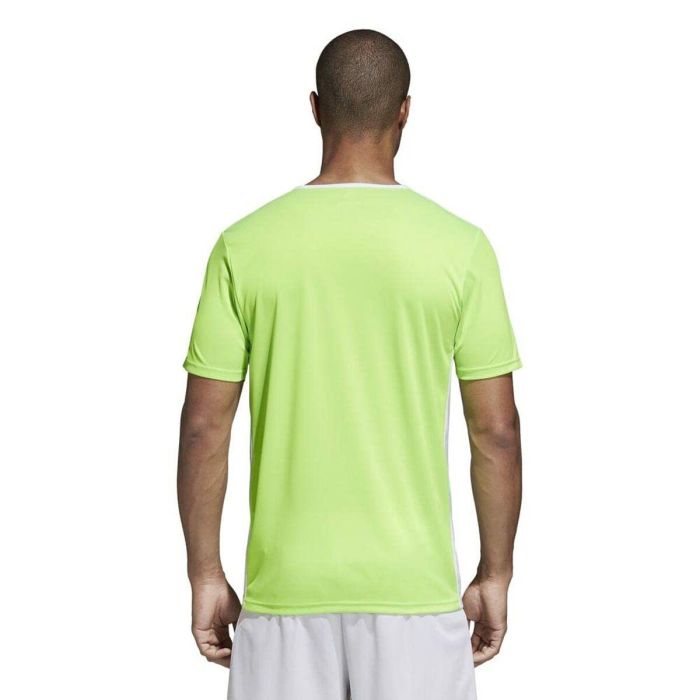 Camiseta de Manga Corta Hombre Adidas Entrada 80 5