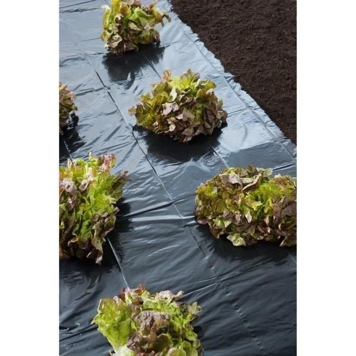 Nature Película de Mantillo Negra 1,40x10m 30µ Polietileno LDPE Anti-UV para Cultivos, Protege Plantas y Regula Humedad Nature Película de Mantillo Negra 1,40x10m 30µ Polietileno LDPE Anti-UV para Cultivos, Protege Plantas y Regula Humedad