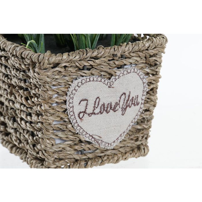 DKD Home Decor Planta Lila Natural Metal Pe 12 x 22 x 12 cm (6 Unidades) 1 DKD Home Decor Planta Lila Natural Metal Pe 12 x 22 x 12 cm (6 Unidades) 1