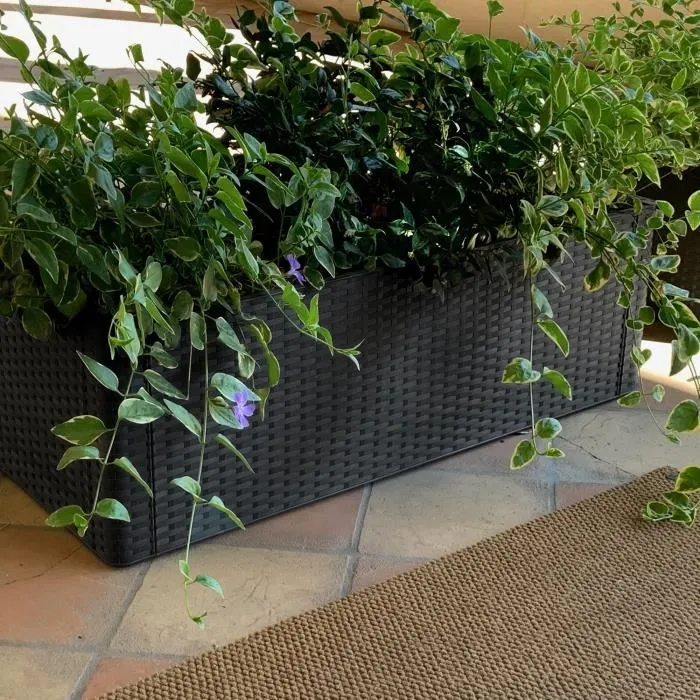 Stefanplast Caja de Flores Rectangular Natural Delux Antracita - Ratán Tejido, Reserva de Agua, 100x43xH33cm, 90+6.5L 1