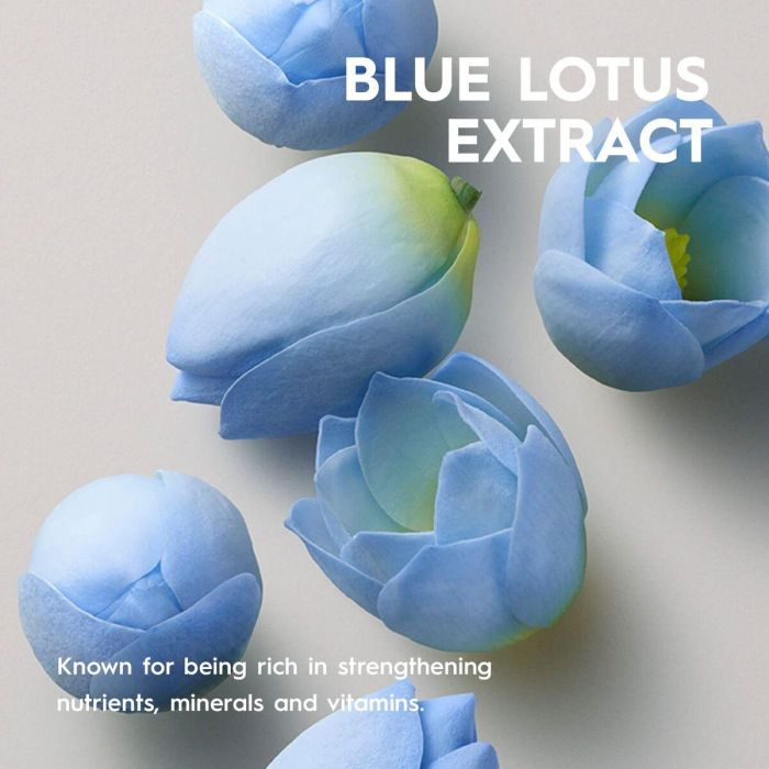 Champú Kerasilk ESSENTIALS 750 ml 2