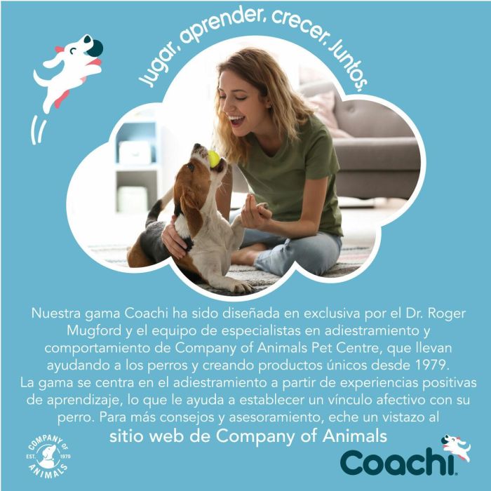 Coachi Fetch & Reward Azul-Lima 1 Coachi Fetch & Reward Azul-Lima 1
