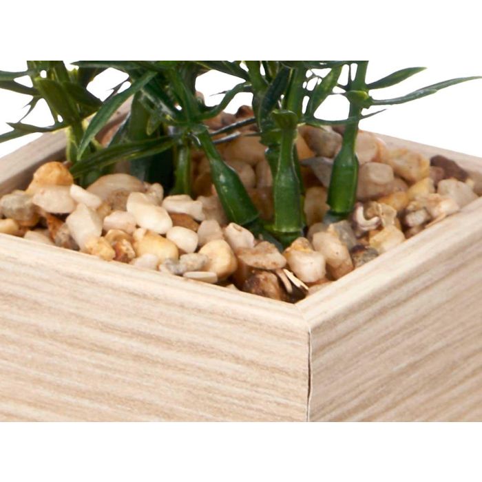 Portafoto 10X15Cm Con Planta Giftdecor (8 Unidades) 3 Portafoto 10X15Cm Con Planta Giftdecor (8 Unidades) 3