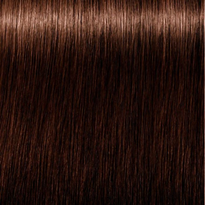 Schwarzkopf IGORA ROYAL ABSOLUTES #5-60 Tinte Pelo 60 ml Anti-Age Schwarzkopf IGORA ROYAL ABSOLUTES #5-60 Tinte Pelo 60 ml Anti-Age