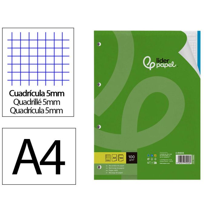 Recambio Liderpapel A4 100 Hojas 100 gr-M2 Cuadro 5 mm 4 Taladros Bandas De 5 Colores 24 unidades