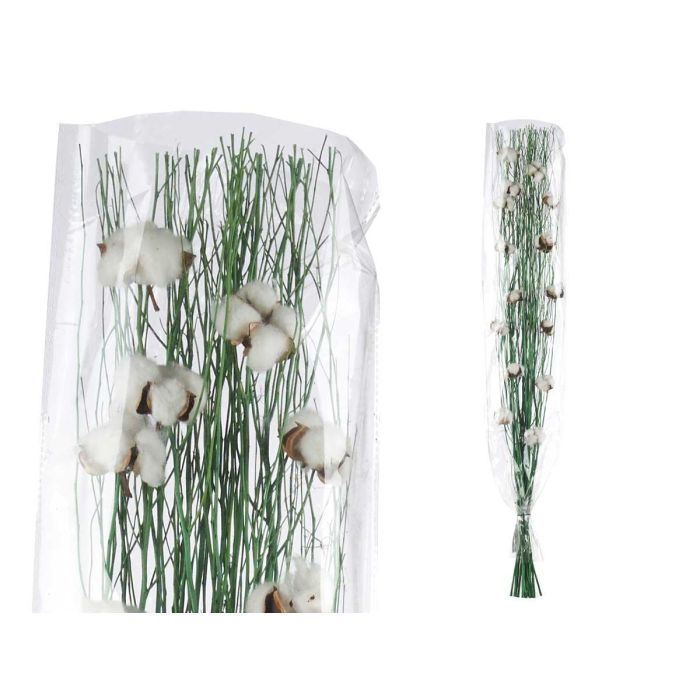 Ramillete de Algodón Verde Giftdecor - 12x100x10 cm, Materia Vegetal Seca (18 Unidades) 2 Ramillete de Algodón Verde Giftdecor - 12x100x10 cm, Materia Vegetal Seca (18 Unidades) 2