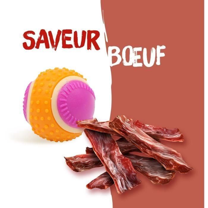 Pelota para perros - AIMÉ - 5 en 1 sabor carne 5 Pelota para perros - AIMÉ - 5 en 1 sabor carne 5