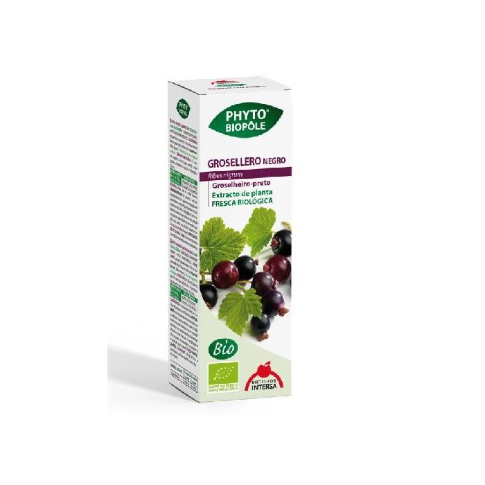 Grosellero Negro Phyto-Biopole Grosellero Negro Phyto-Biopole