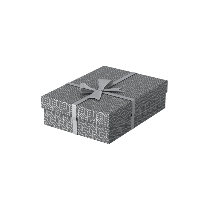 Esselte Caja de almacenamiento de cartón gris 360x265x100 mm pack 3 unidades 1