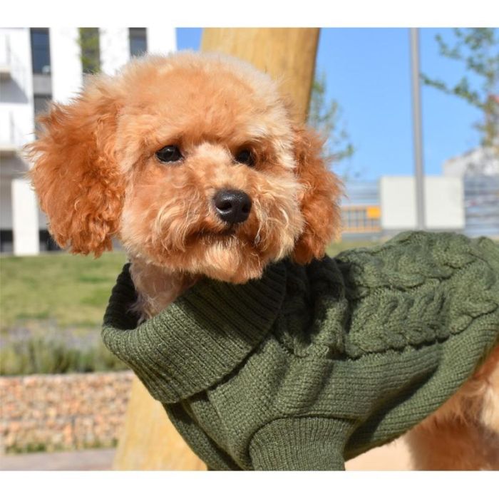 Jersey Punto Trenza Verde 1