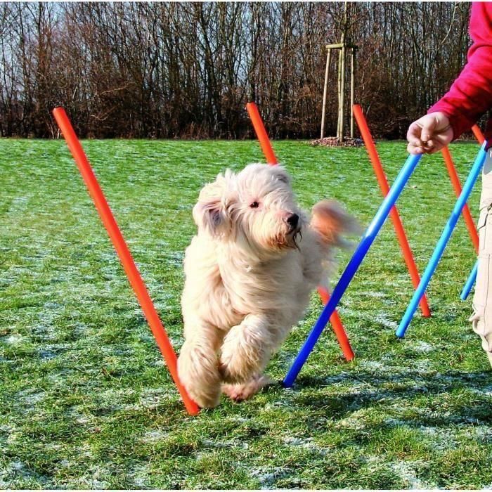 TRIXIE Estacas de Slalom para Pista de Agility 115 cm 12uds Plástico