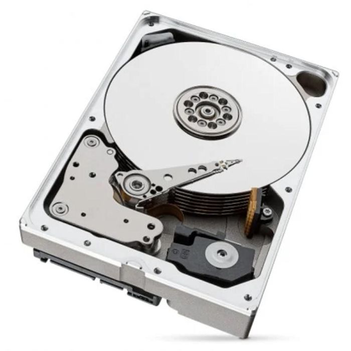 Disco Duro Seagate ST10000NT001 3,5" 10 TB 10 TB SSD