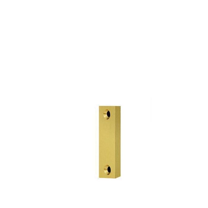TESA Sptl10Ae Suplemento Tlp 10Cm de Frente para Cerraduras de Embutir en Puertas Altas (Hasta 2300mm)