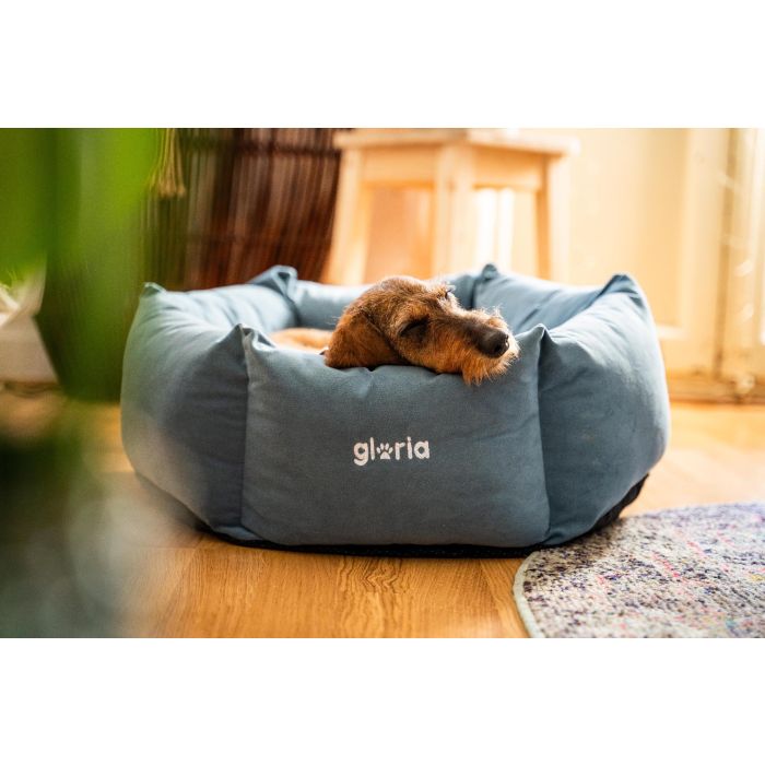 Cama para Perro Gloria Hondarribia Azul 60 x 60 cm Hexagonal 6